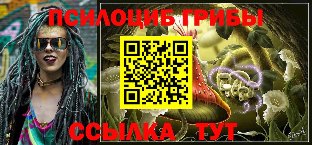Галлюциногенные грибы Cubensis Шахты